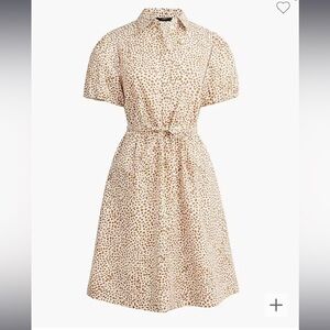 J. Crew NWOT FA 23 Short-sleeve collared mini dress‎ animal print brown Size 4